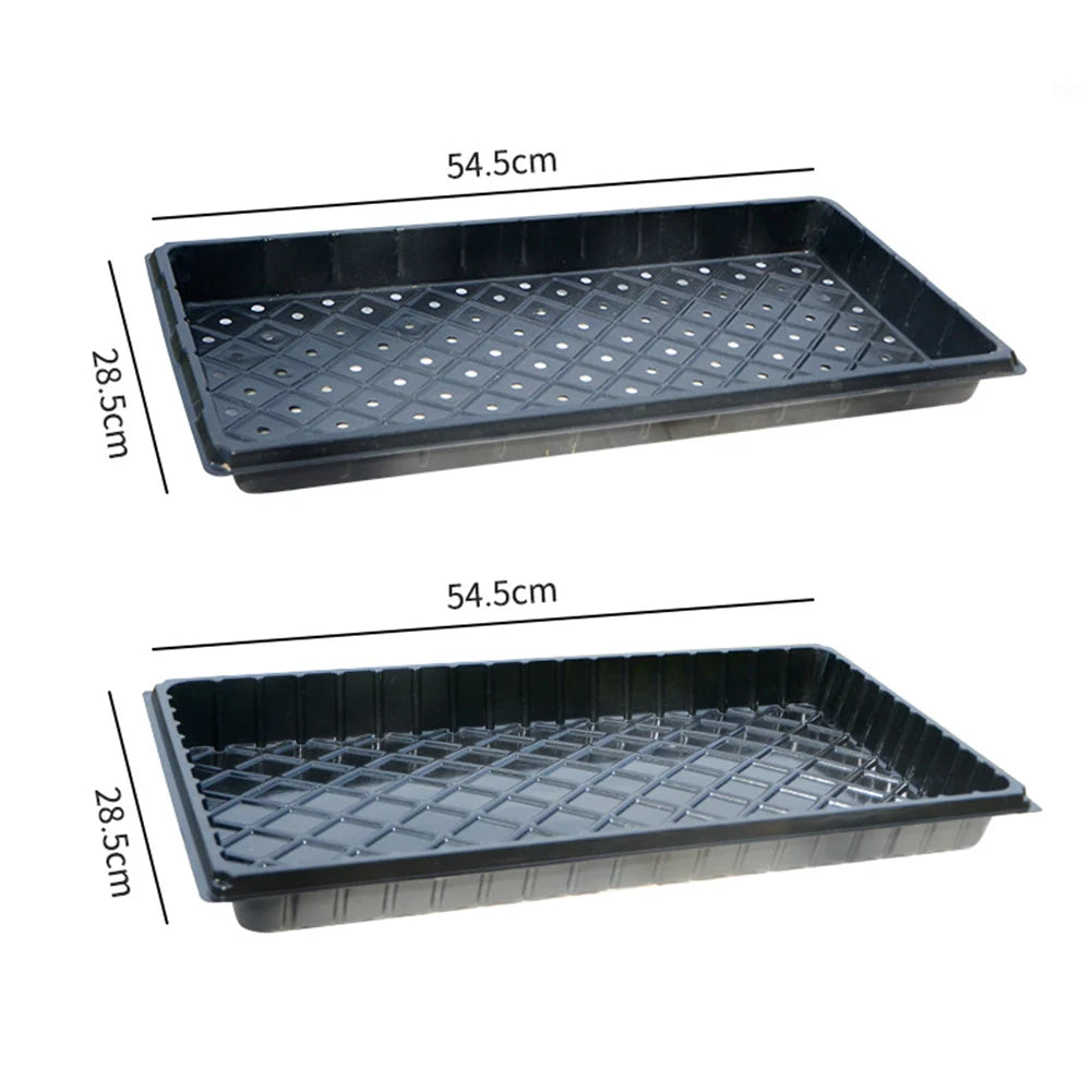 200 Cell Plant Germination Tray