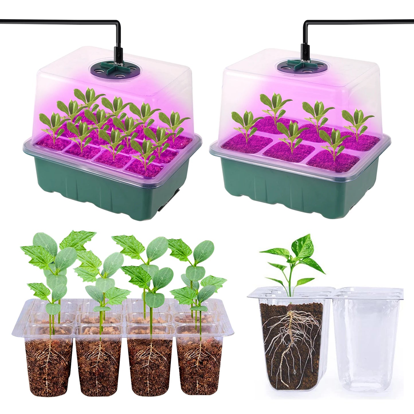 LED Grow Light Seed Starter Trays