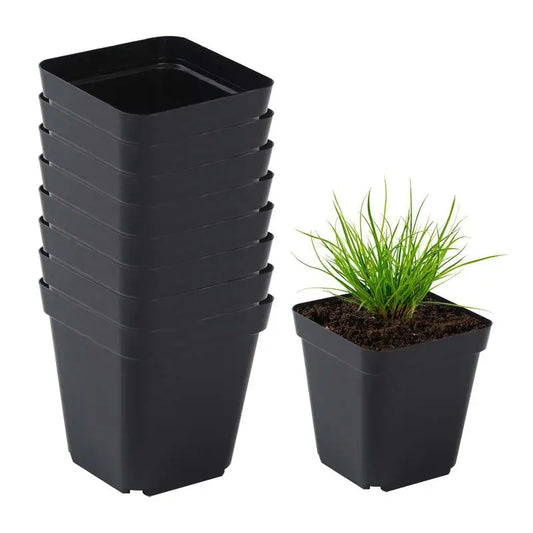 Pots For Seedlings