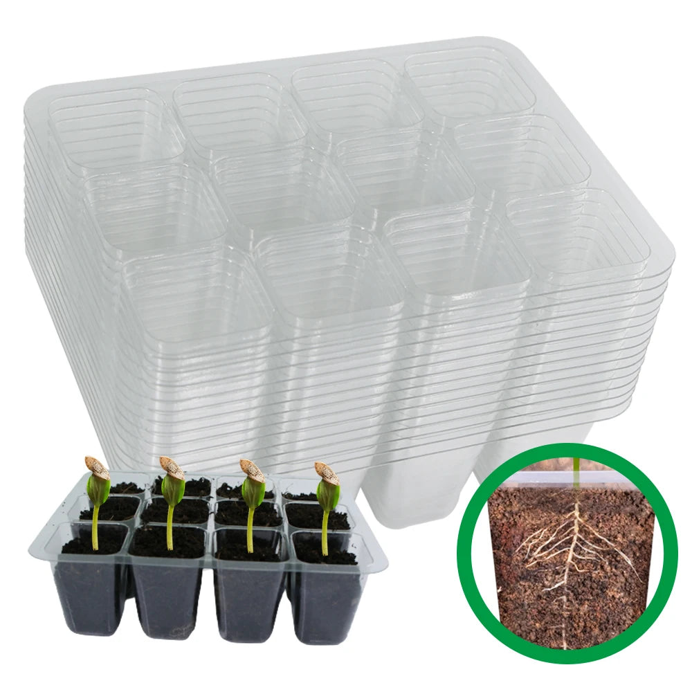 12 Cell Seeds Starter Tray