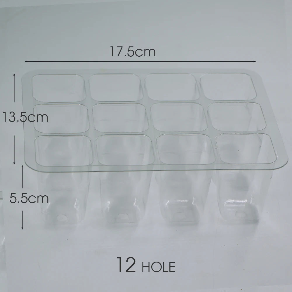 12 Cell Seeds Starter Tray