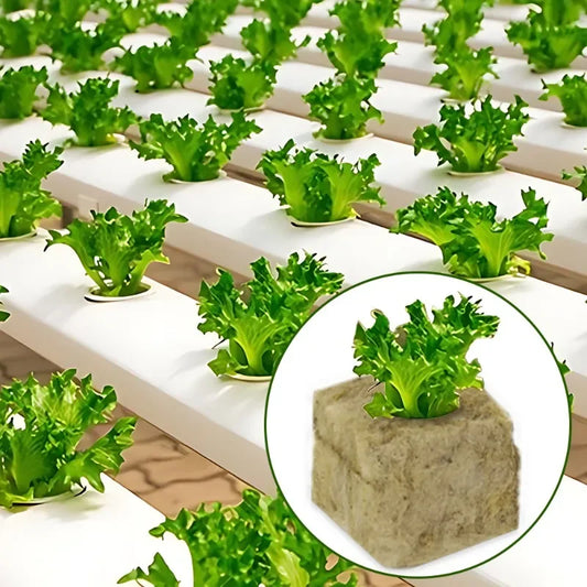 Hydroponics Plant Propagation Cubes